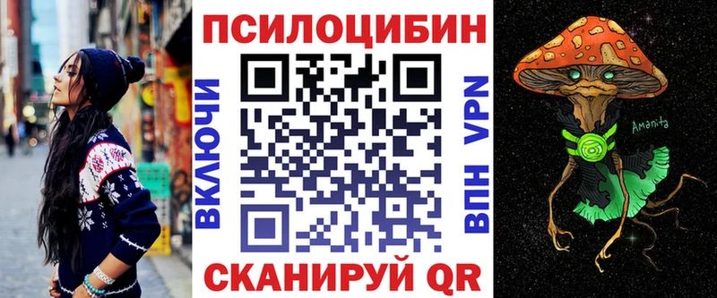 Псилоцибиновые грибы Psilocybine cubensis  Купить закладки  Протвино 